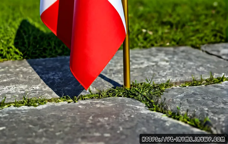 Jak działa ekosystem inwestowania długoterminowego: koszty, ryzyko i wybór narzędzi 4 장기 복리 투자 생태계 이해하기 관련 이미지 2